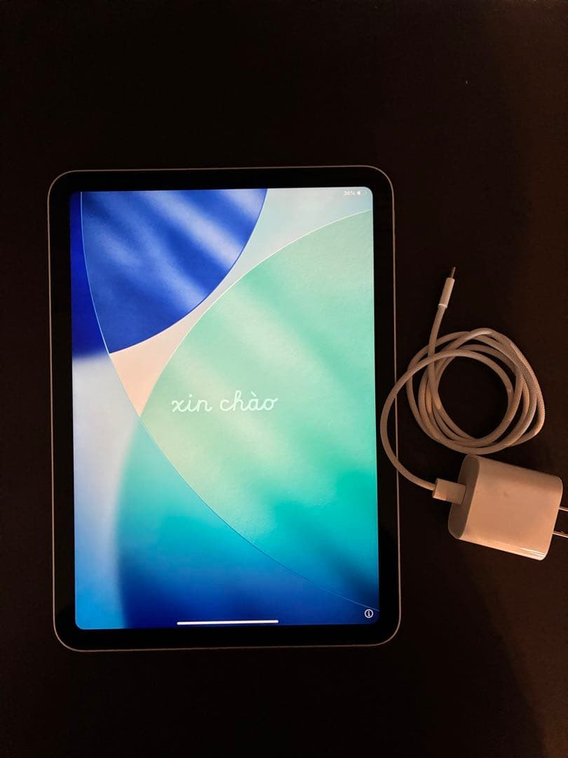 Apple iPad シルバー 充電器付き(第10世代)