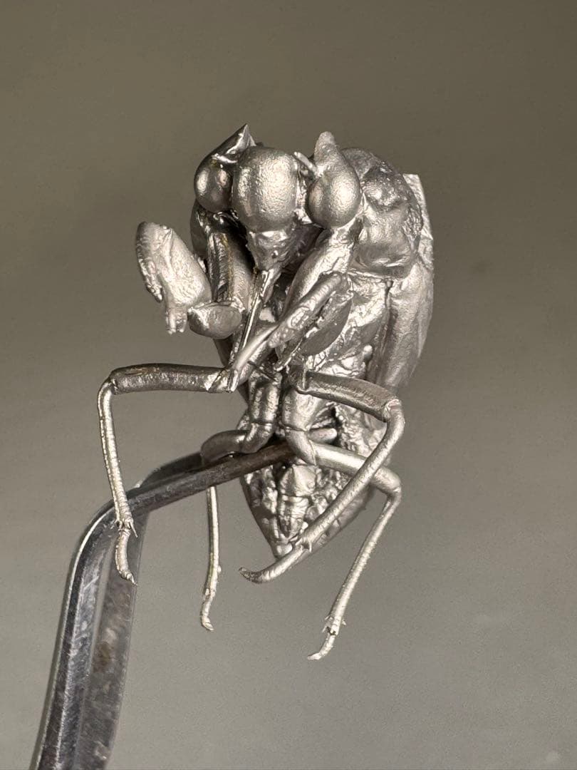 蝉　蝉の抜け殻　セミ　オブジェ　虫好き　金属製　標本