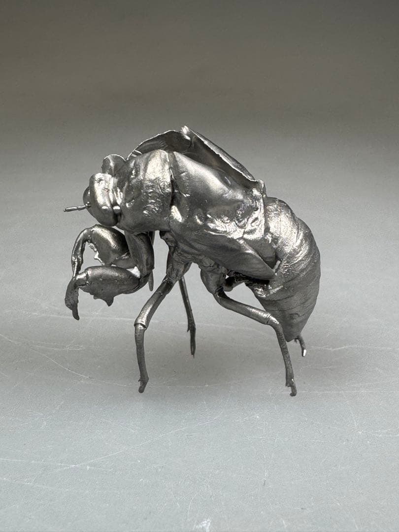 蝉　蝉の抜け殻　セミ　オブジェ　虫好き　金属製　標本