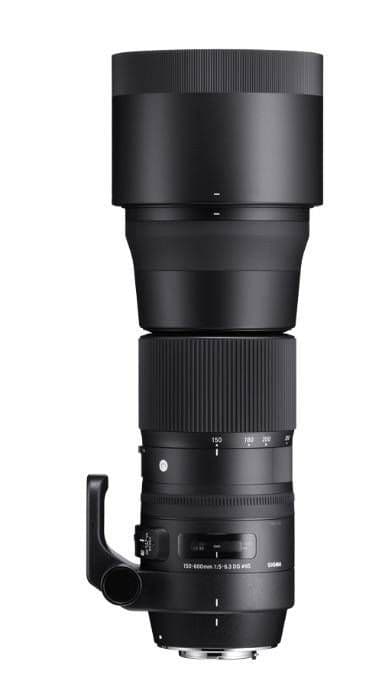 【新品】SIGMA 150-600mm F5-6.3 DG OS HSM ニコン