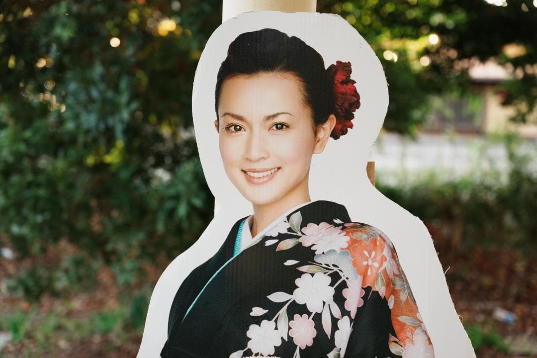 未使用級美品 SONY SEL2070G 旅も街撮りも1本完結 激レア出品