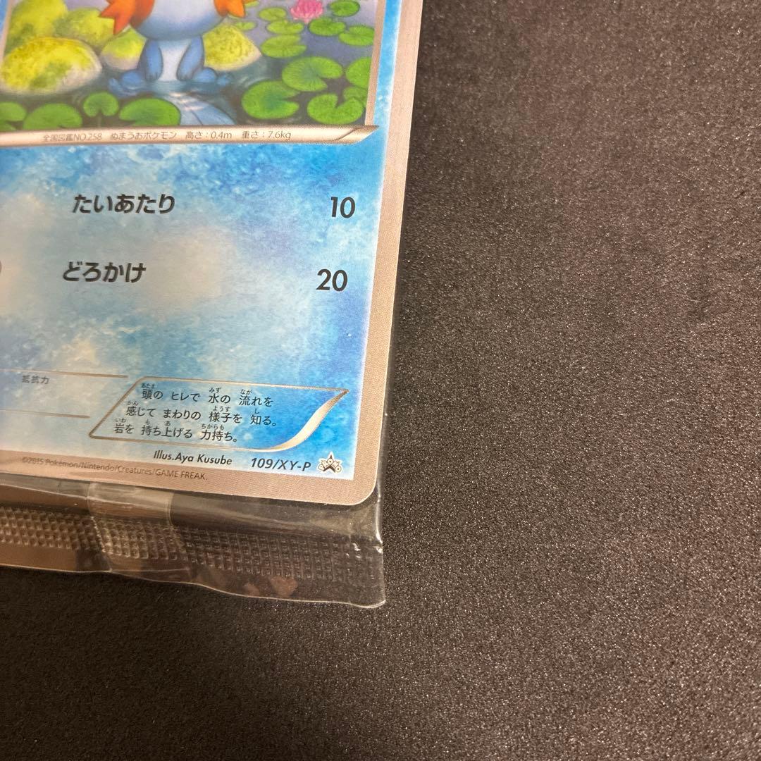 ポケモンカード ミズゴロウ プロモ 109/XY-P 2015 未開封 コンビニ
