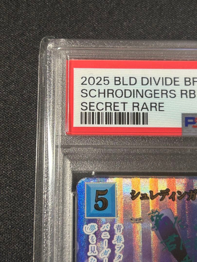 【PSA10】ビルディバイドブライト　シュレディンガーの兎　桜島麻衣SC サイン