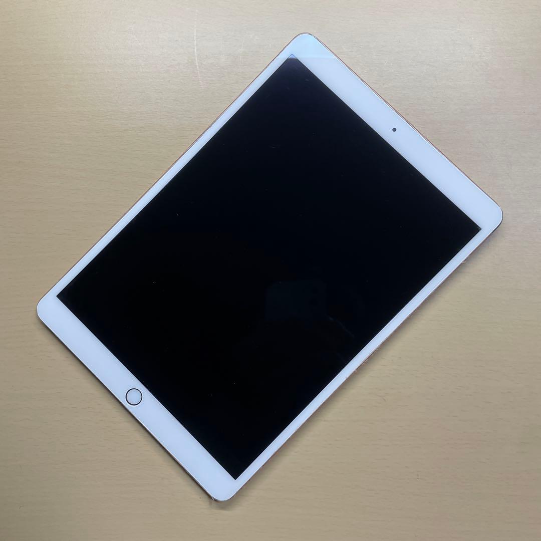 iPad Pro 10.5 256GB Wi-Fi 割れなし　A1701