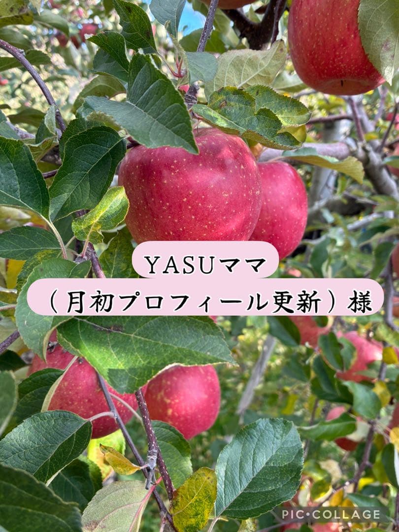 農家直送☆青森県産　サンふじ　家庭用りんご