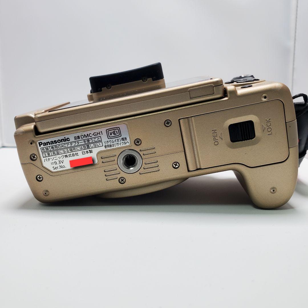 パナソニック　LUMIX　GH1　カメラ ライト　ディフューザー　まとめ売り