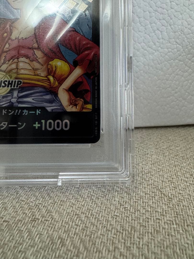 PSA10 ドン!!カード チャンピオンシップ2023 ワールドファイナル記念品