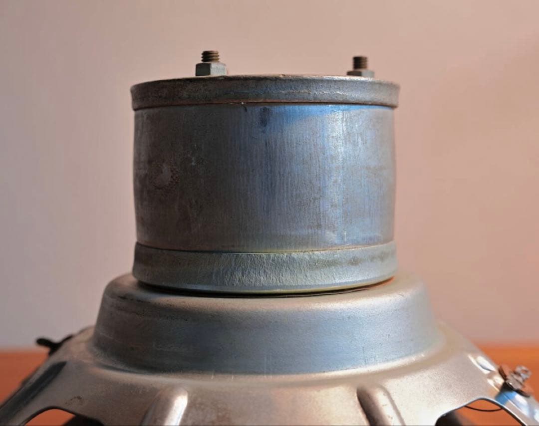 貴重稀品! PHILIPS AD1250 AlNiCo仕様 12インチフルレンジ