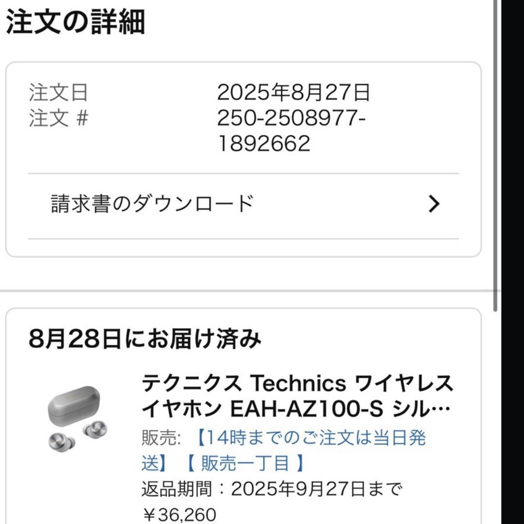 Technics EAH-AZ100 テクニクス　シルバー