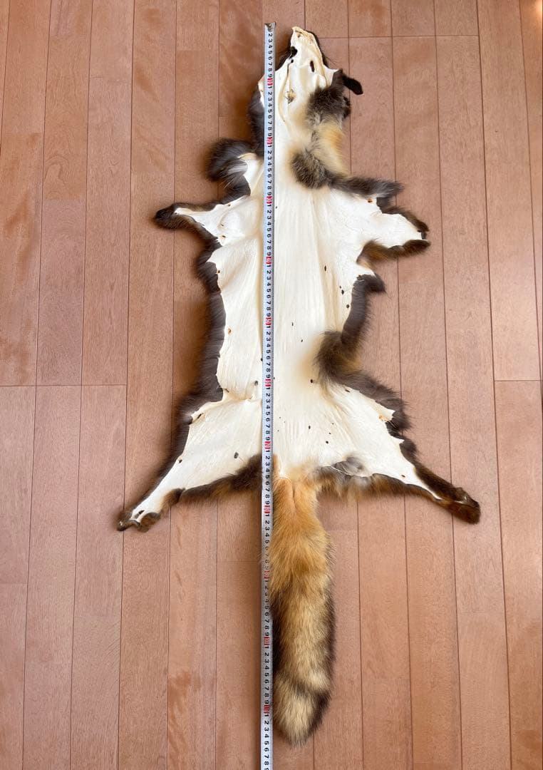 超希少 幻の十字ギツネ / クロスフォックス リアルファー C5★ラグ 毛皮