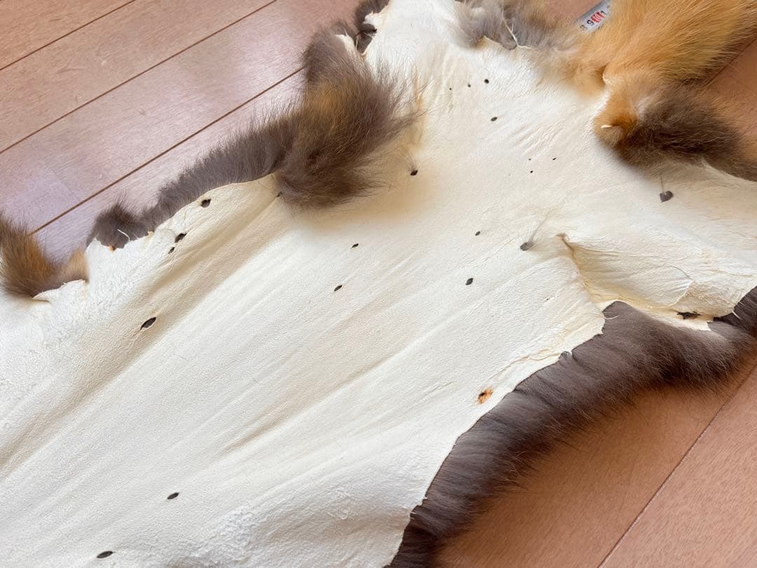 超希少 幻の十字ギツネ / クロスフォックス リアルファー C5★ラグ 毛皮