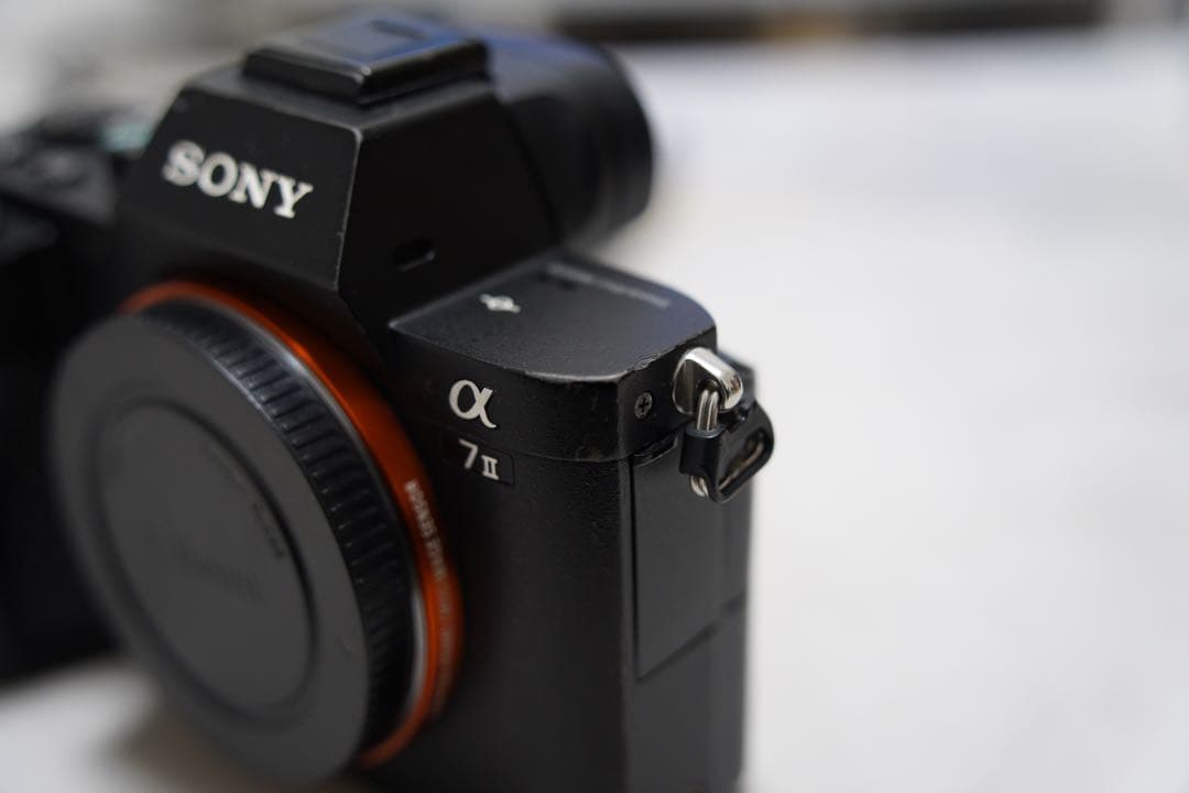 【Lilyさん専用-取り置き】SONY α7Ⅱ ボディ
