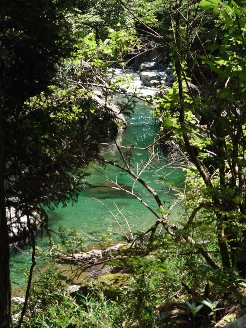 国産百花蜜 梅酒瓶入り　おまけ蜜蝋付き　業者　グループ買い　生産者価格で大放出
