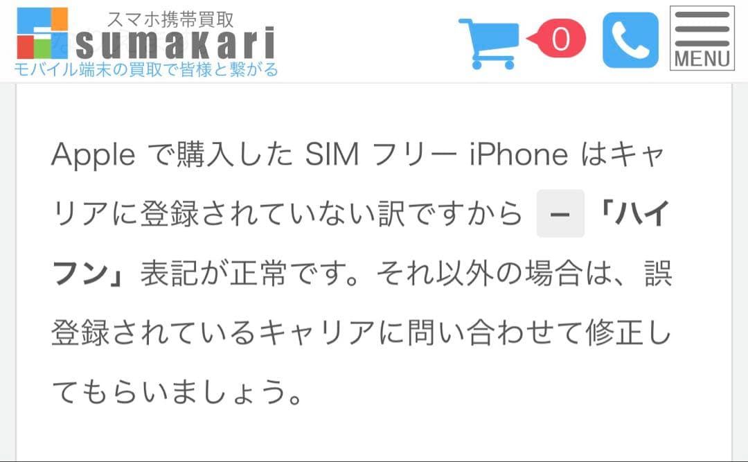 【即納・新品】11インチ iPad Pro M5 Wi-Fi+Cellular