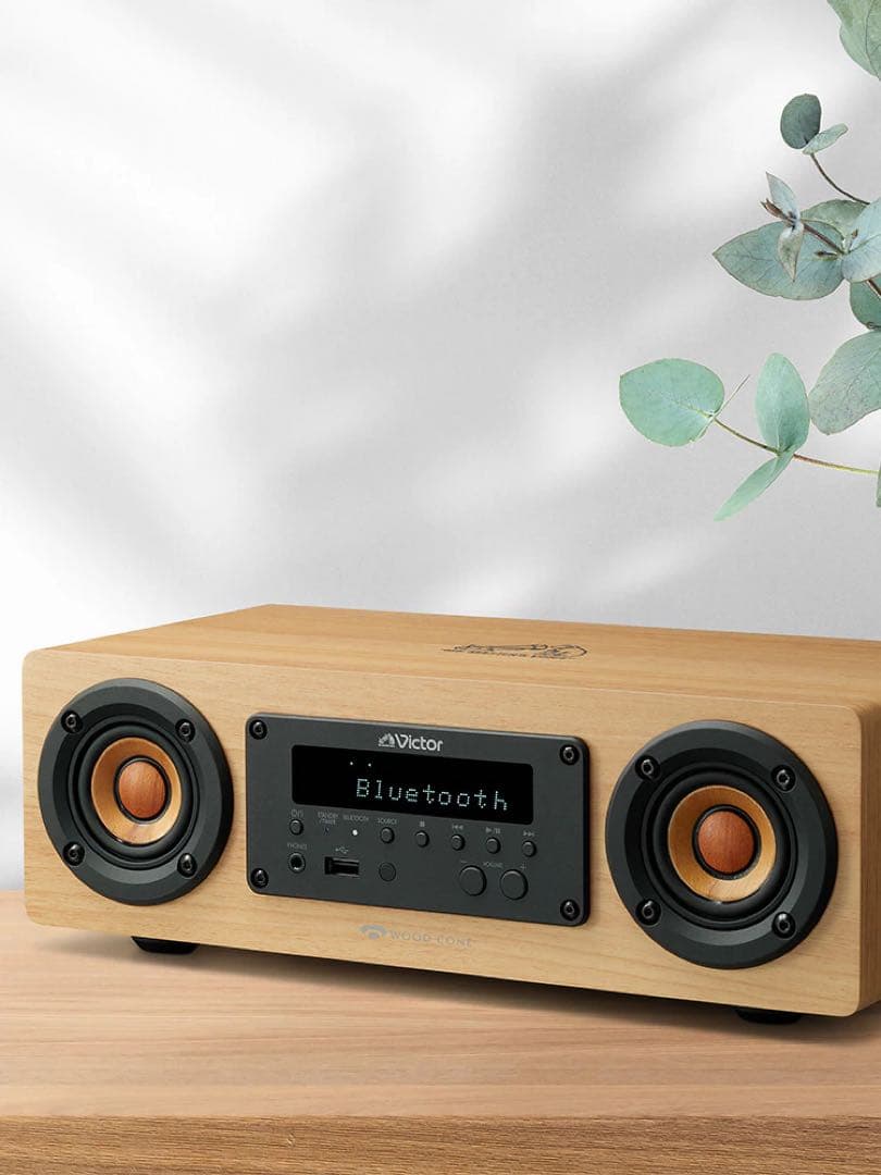 ビクター Victor EX-DM10 スピーカー WOOD CONE