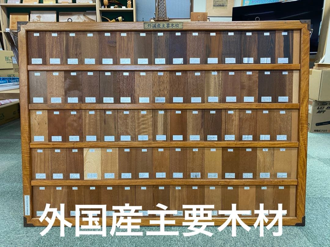 木材標本　3種【日本国産・外国産・熱帯産】