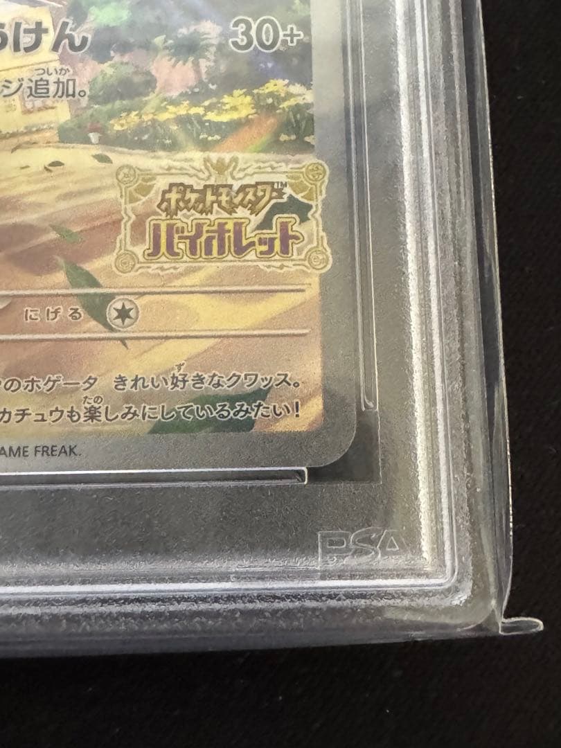 ポケカ ピカチュウ スカバイ プロモ psa10