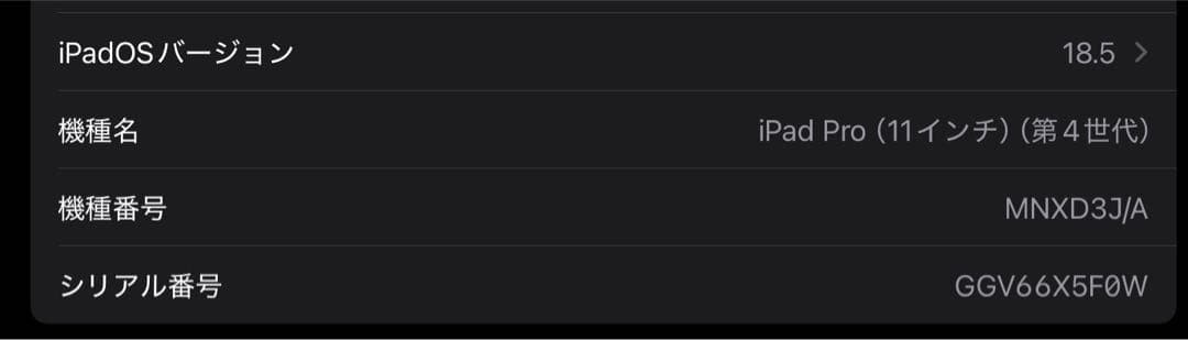 iPad Pro 11インチ (第4世代) Wi-Fiモデル 128GB
