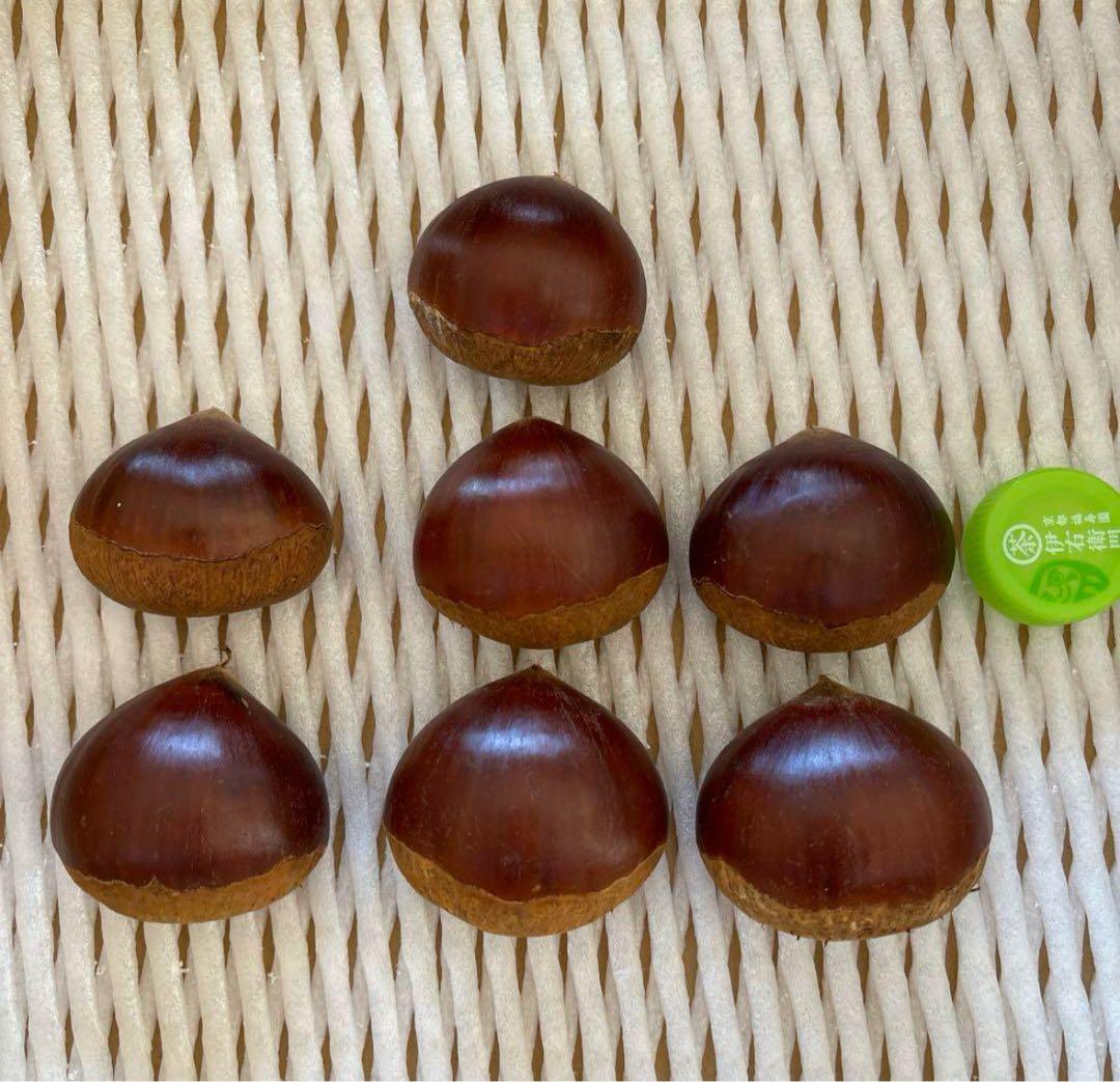 Chokoro様 長野パープル2