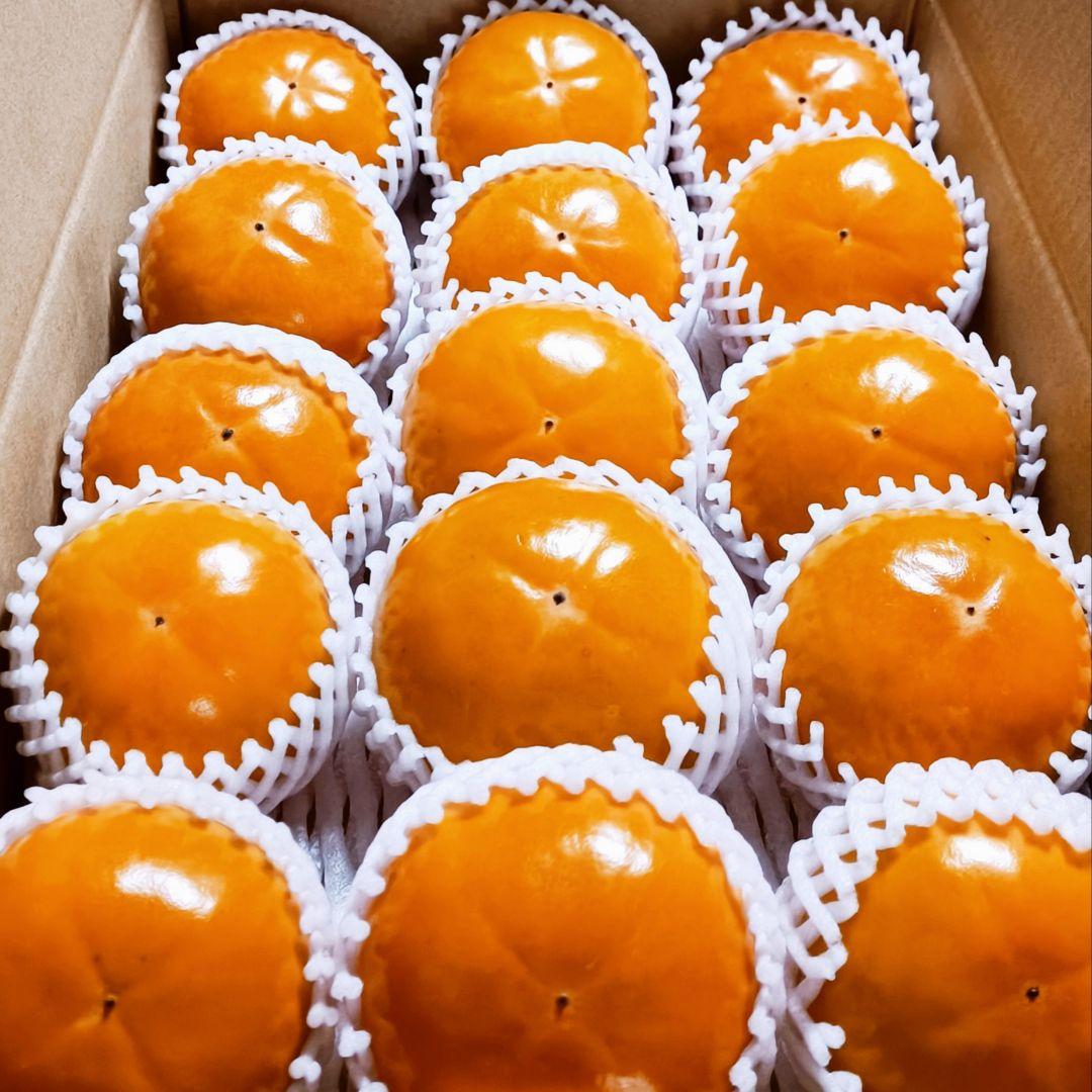 【大玉】福岡県産ブランド富有柿9kg