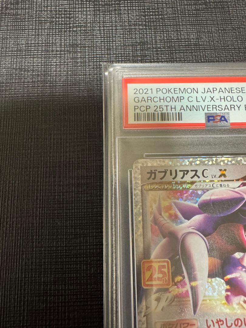 【PSA10】 ポケモンカード　ガブリアスC LV.X 25th プロモカード