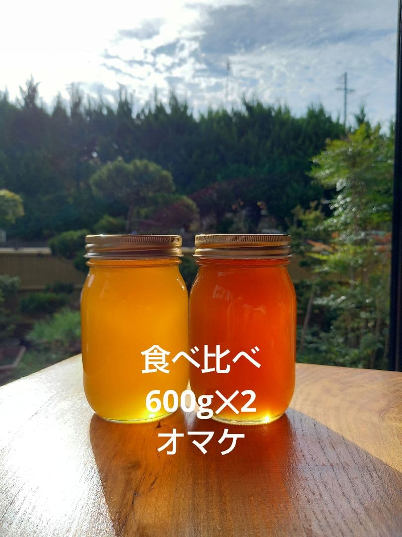 日本ミツバチ完熟蜂蜜（食べ比べ、600g✕2）