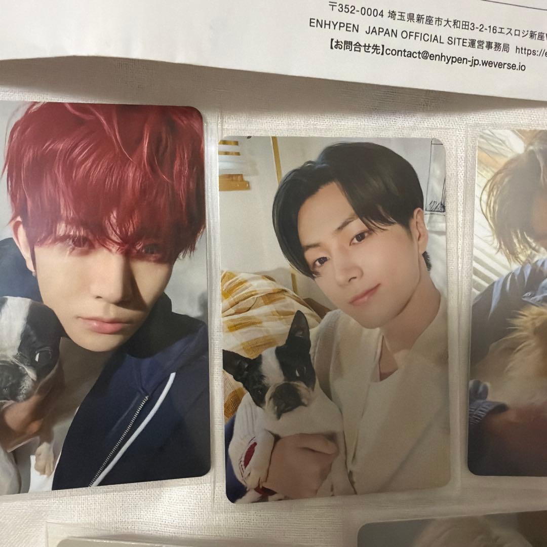 ENHYPEN アンケートトレカ5枚セット
