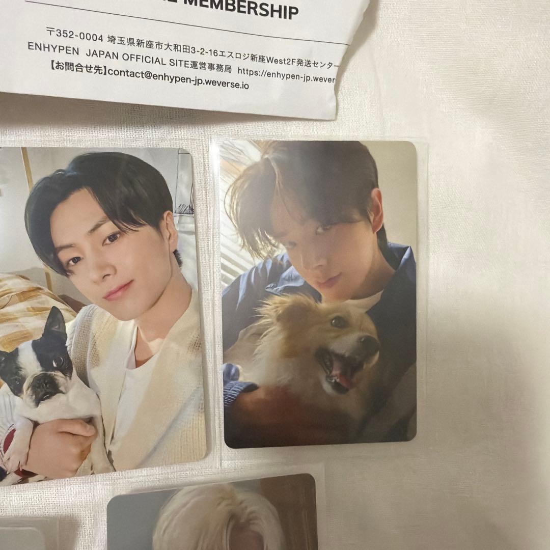 ENHYPEN アンケートトレカ5枚セット