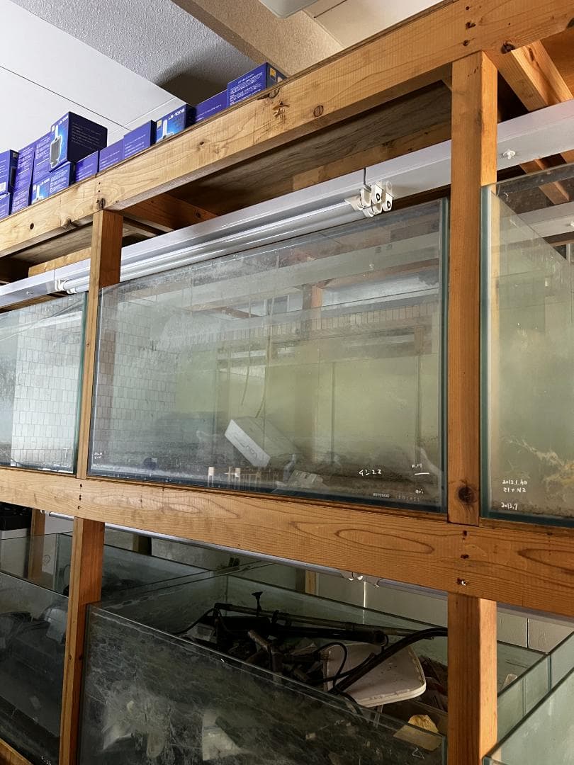 大きめ ガラス水槽 使用済品 中古 汚れあり 引き取り限定(埼玉)