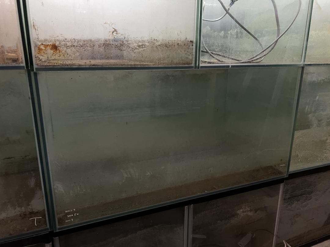 大きめ ガラス水槽 使用済品 中古 汚れあり 引き取り限定(埼玉)