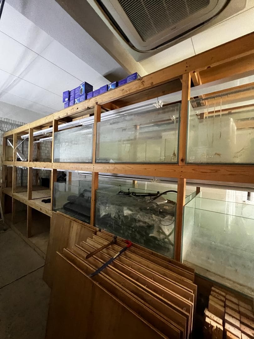 大きめ ガラス水槽 使用済品 中古 汚れあり 引き取り限定(埼玉)