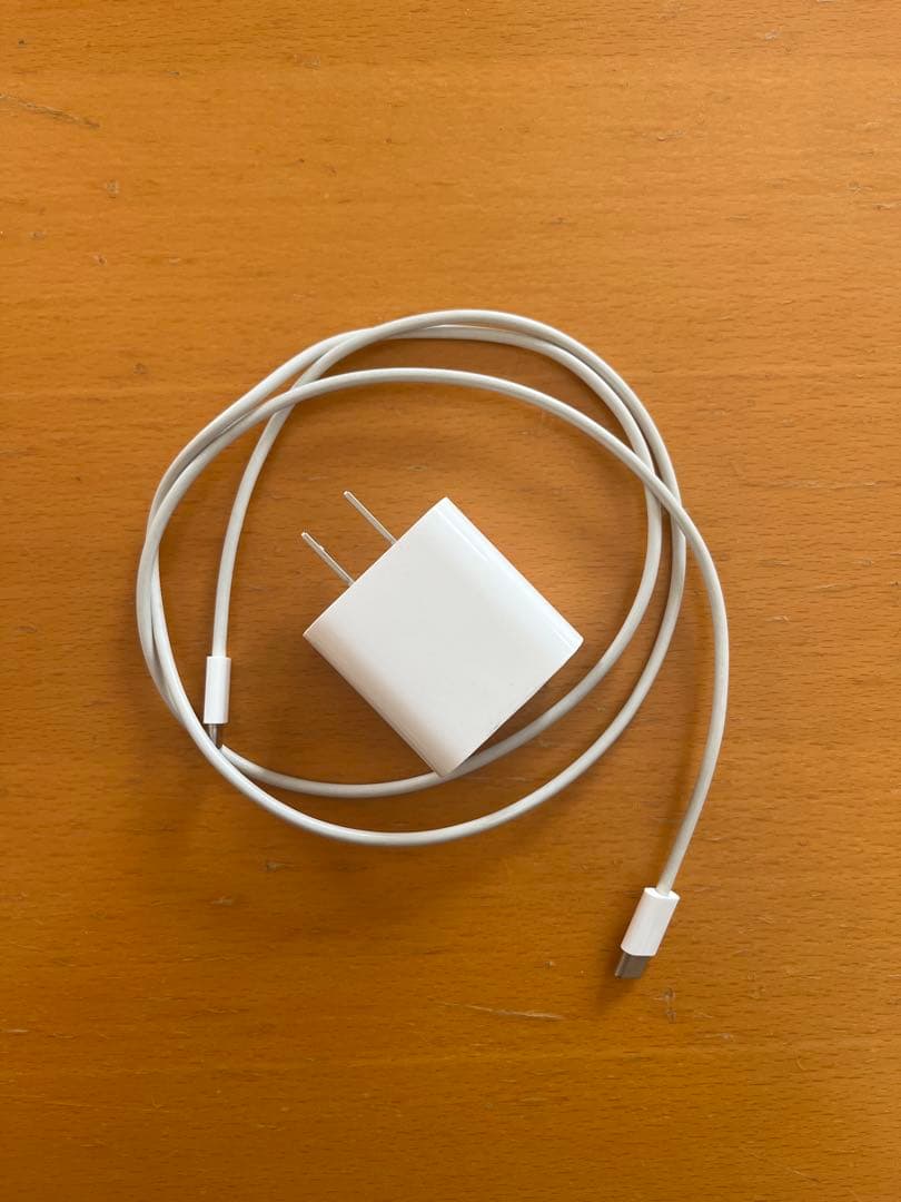 【早い者勝ち】iPad pro 11