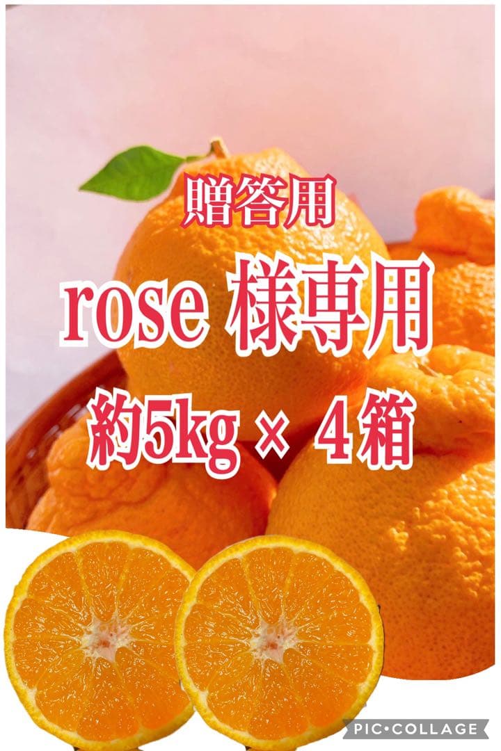 贈答用　約5kg × ４箱 デコポン　rose