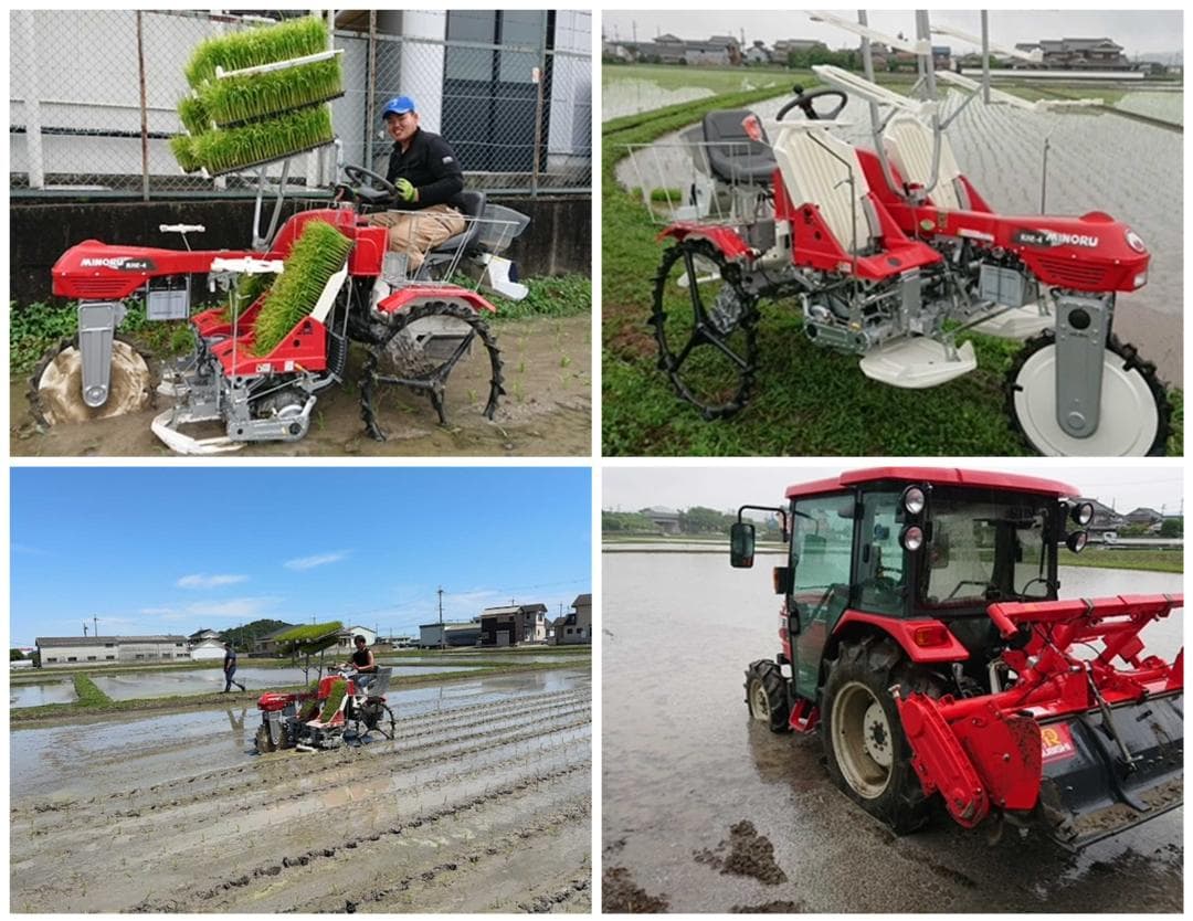 新米　兵庫播州れんげ米　きぬむすめ　７年産　精米　極1等米２0Kg　農直送料無料