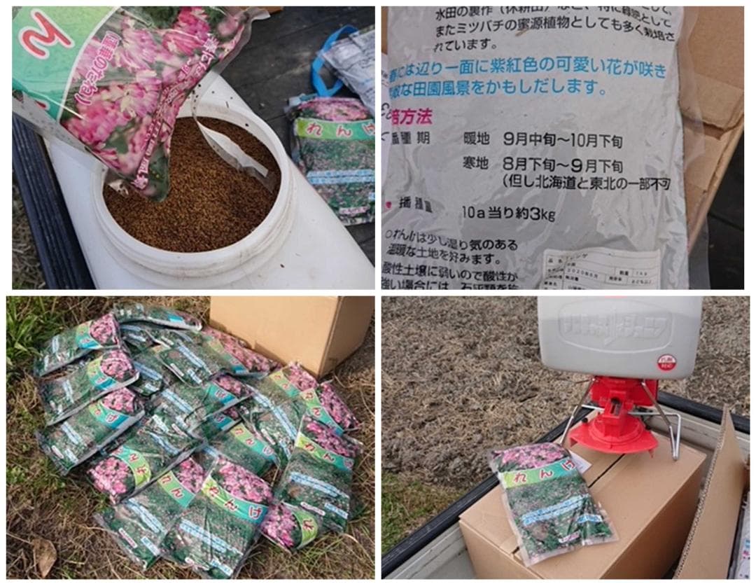 新米　兵庫播州れんげ米　きぬむすめ　７年産　精米　極1等米２0Kg　農直送料無料