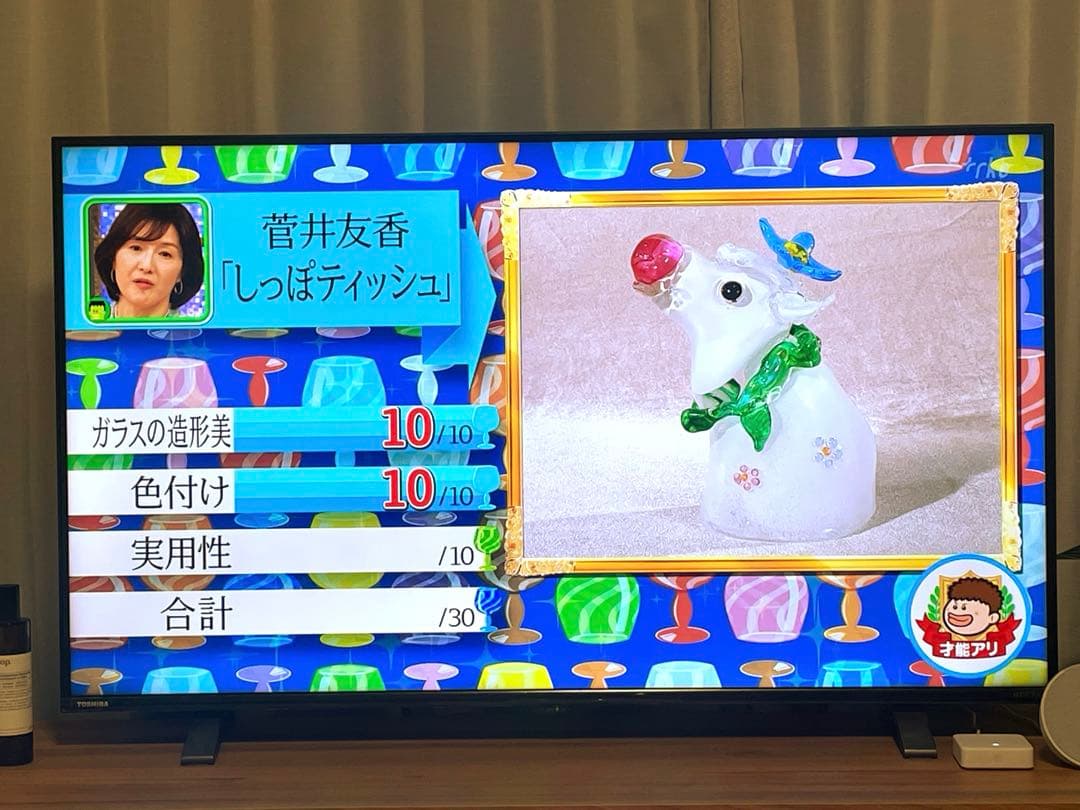 REGZA 東芝 液晶テレビ 43型