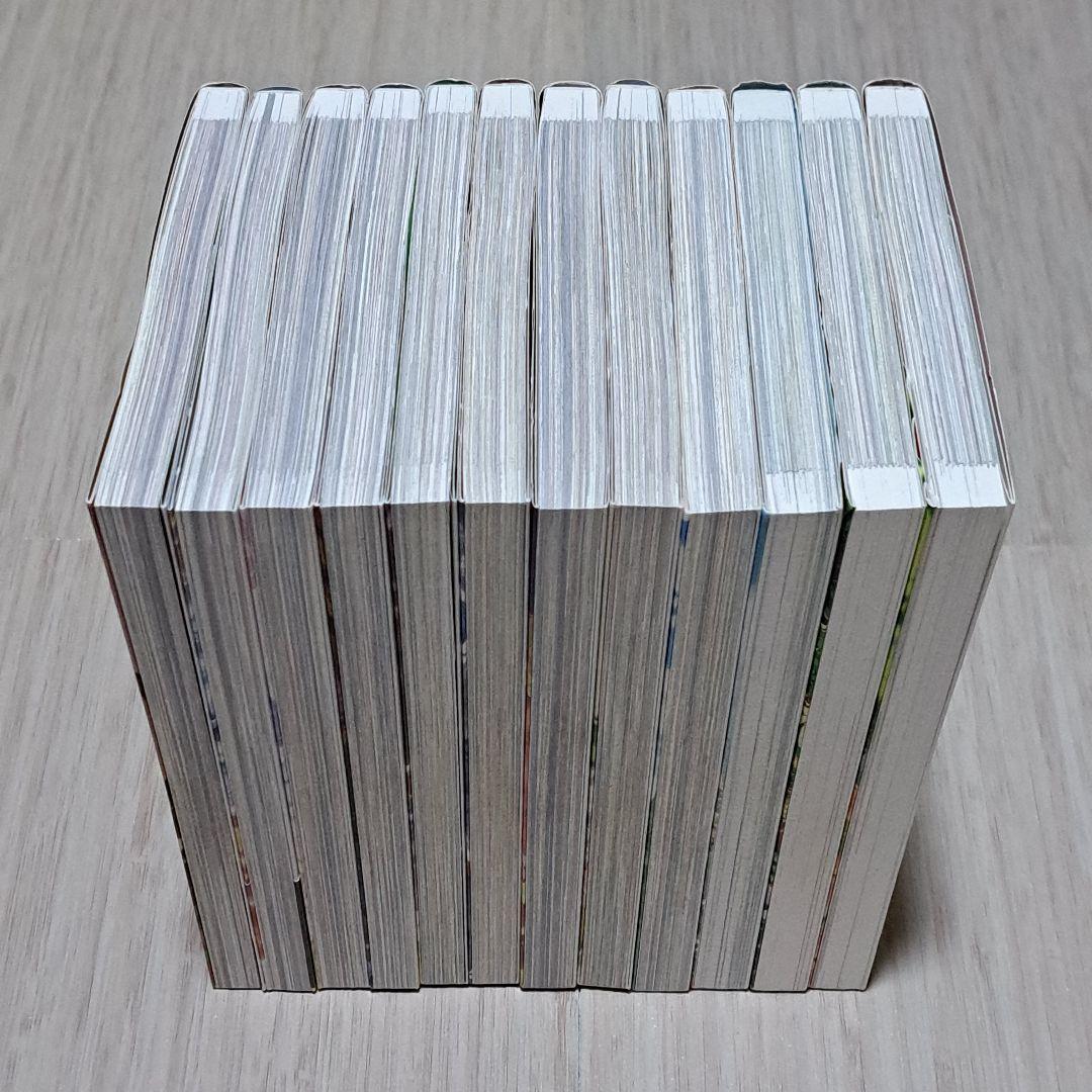 ある日、お姫様になってしまった件について 1~12巻セット