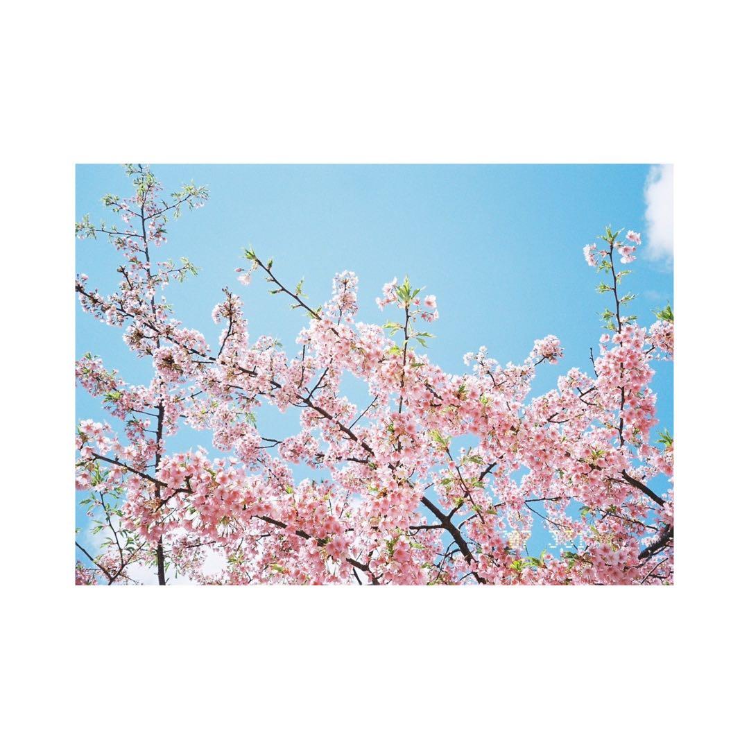 ⌘完動品！ 作例あり、電池付き！ Nikon ZOOM 500AF⌘