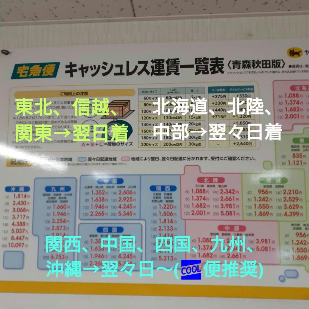 秋田県産 天然きのこ 晩秋の宝箱 クリタケ ムキタケ 採れたて