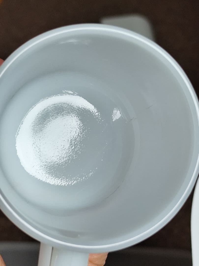 レア　フリントストーンズ　マグ　フェデラル