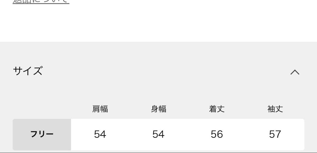 Oriens JOURNAL STANDARD カモフラージュフーディー