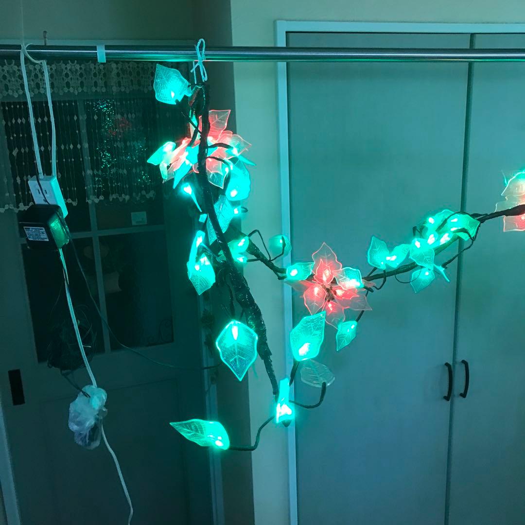 イルミネーションポインセチア