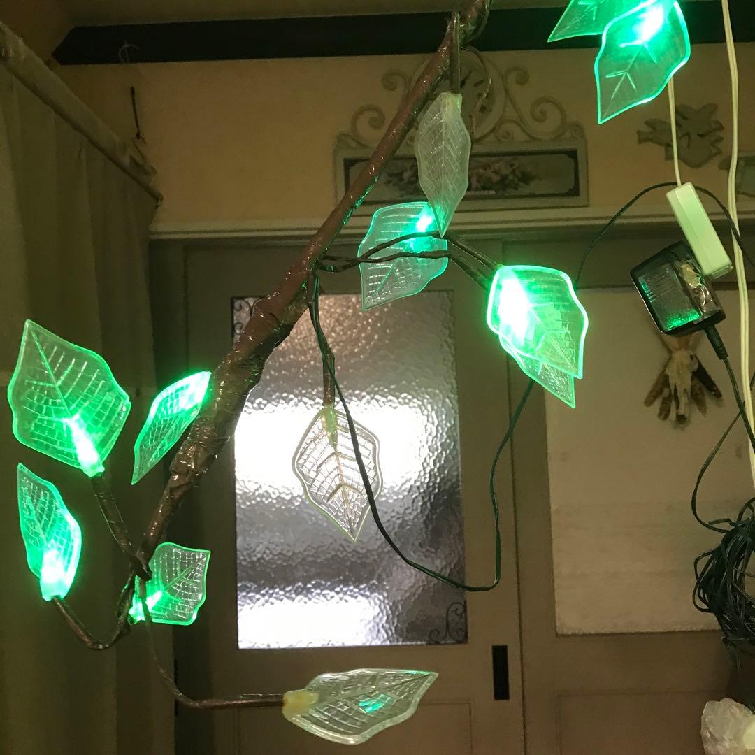 イルミネーションポインセチア