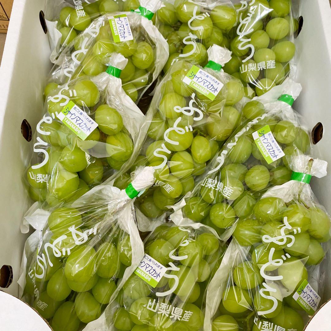 山梨県産　訳あり　家庭用　シャインマスカット　10房　箱込み4.5kg ㉑