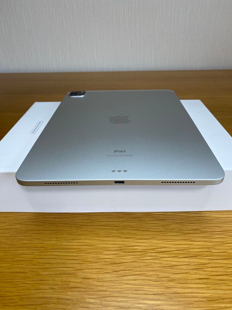 iPad Pro 11インチ第2世代 256GB 動作確認済　iPad 本体