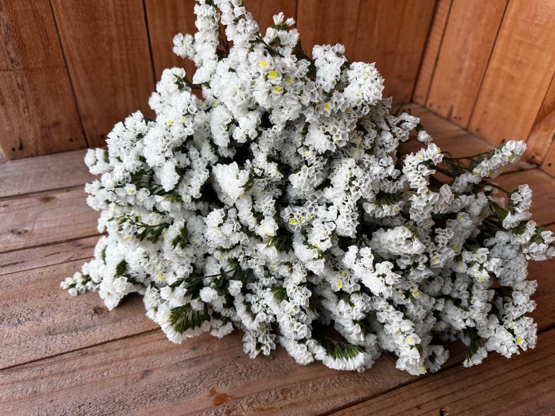 メル32265様 リクエスト 3点 まとめ商品