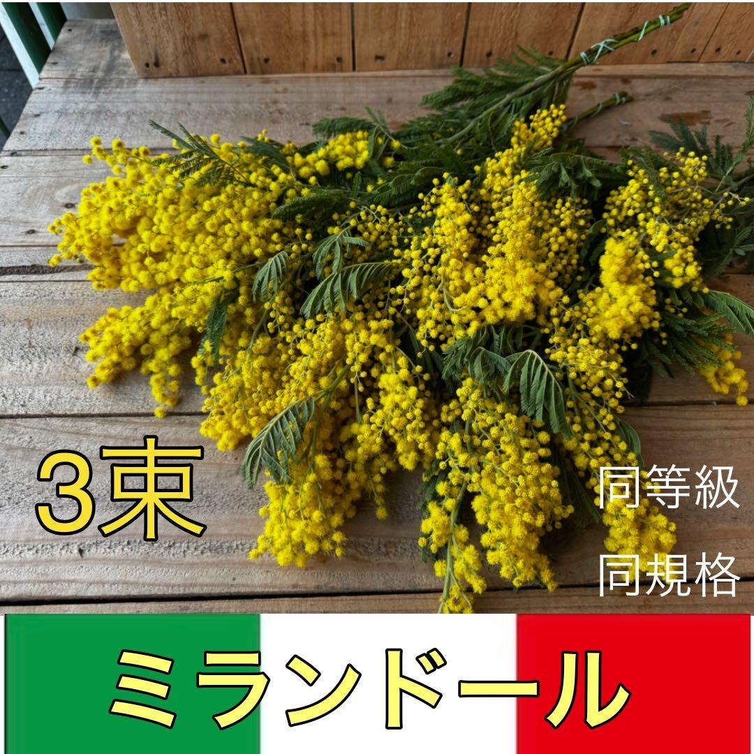 メル32265様 リクエスト 3点 まとめ商品