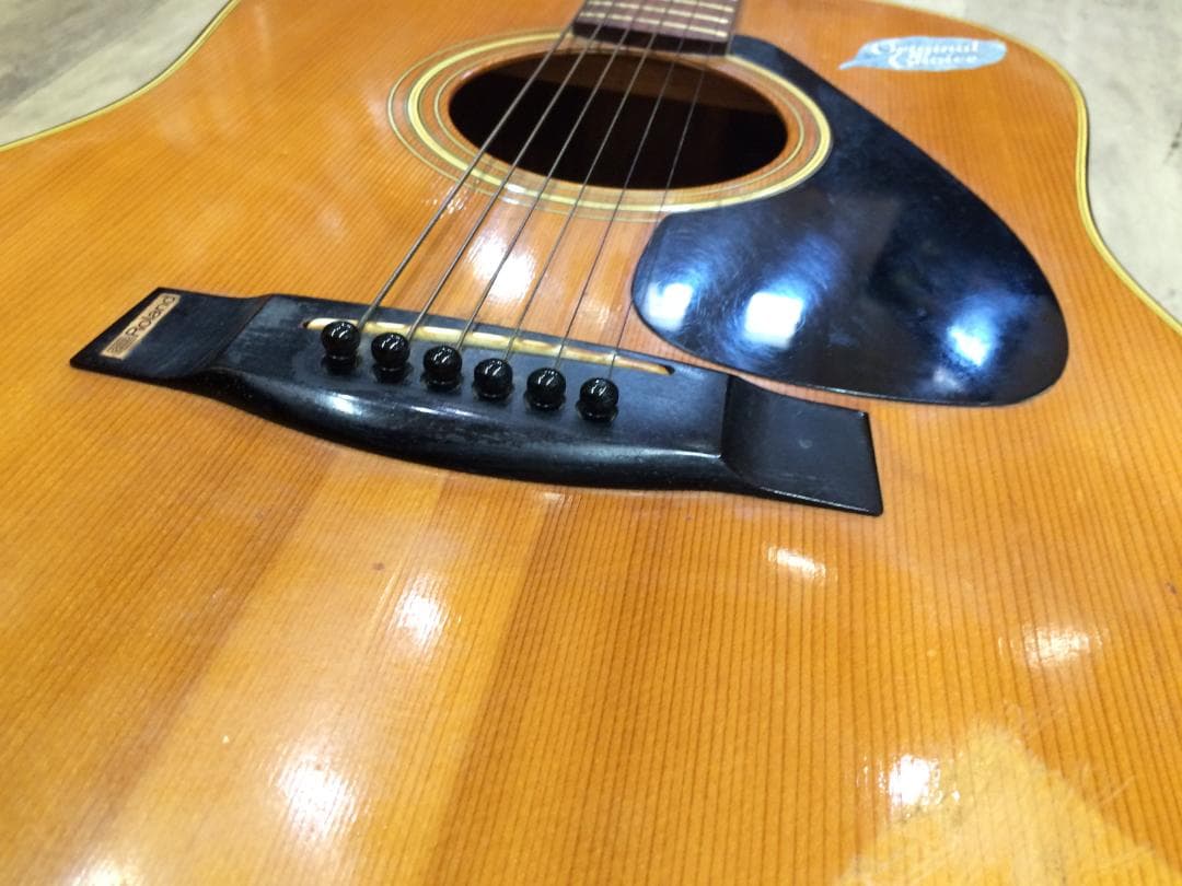 coolヤマハFG151Bハードケース付き