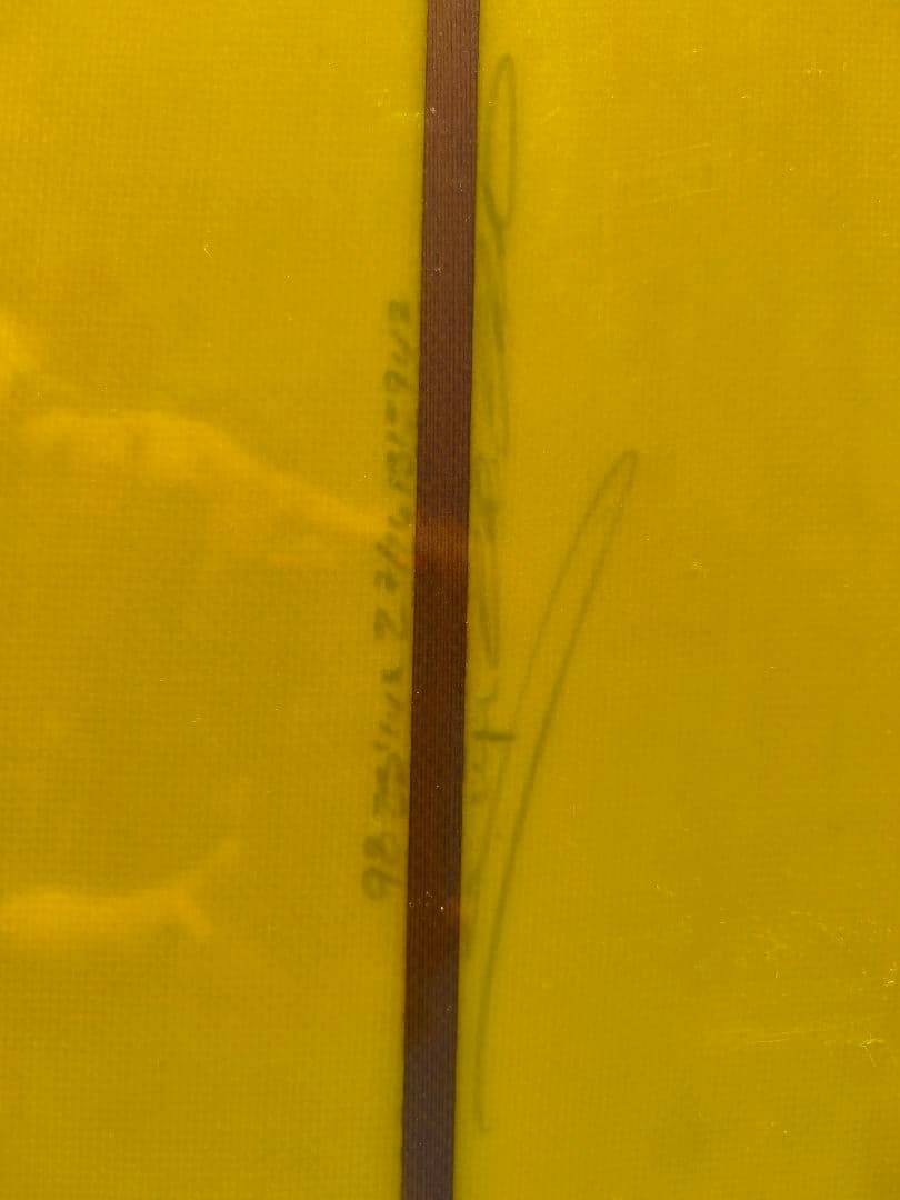 現地渡し限定) Chris Christenson Bonneville 9'8