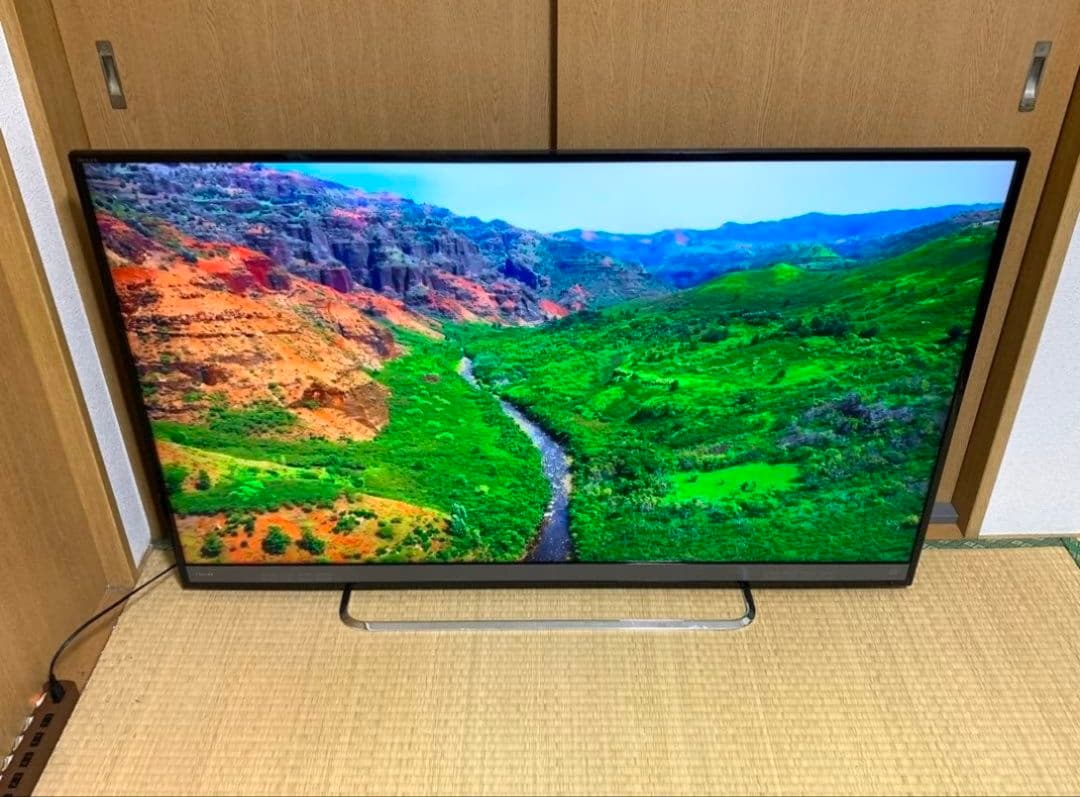 4K TOSHIBA 50型スマートテレビ 地上波/動画アプリ